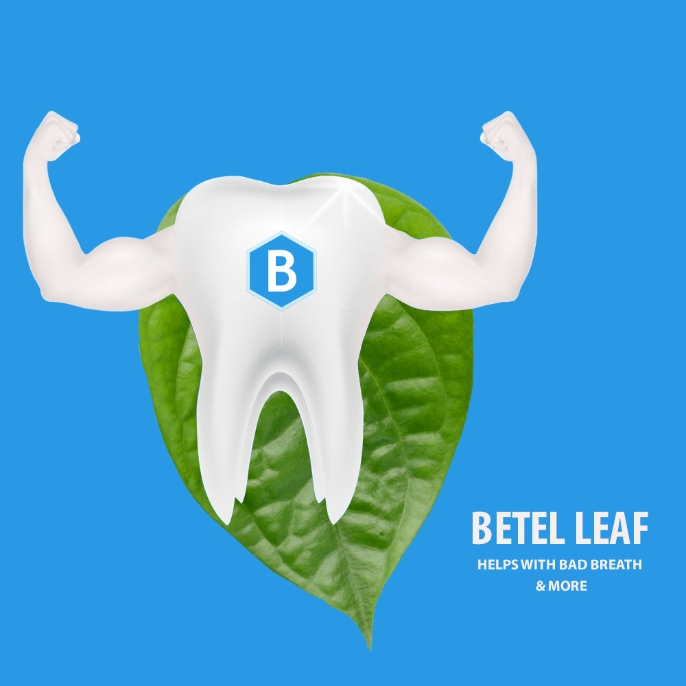 Bentodent Calcium Bentonite Clay Toothpaste - Betel Leaf Organic Toothpaste - SLS Free