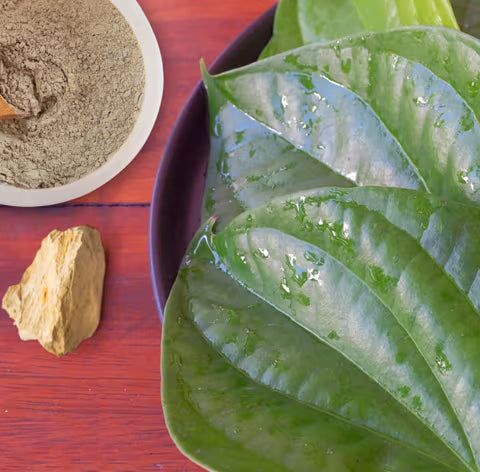 BENTONITE CLAY