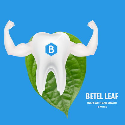 Bentodent Calcium Bentonite Clay Toothpaste - Betel Leaf Organic Toothpaste - SLS Free